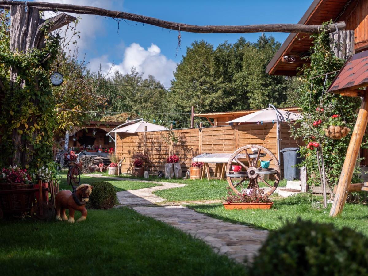 Agropensiunea Casa Nica Margineni  외부 사진